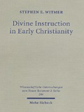 Stephen E. Witmer, Divine instruction in Early Christianity