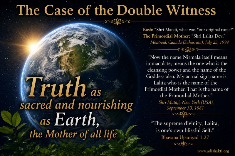 The-Case-of-the-Double-Witness
